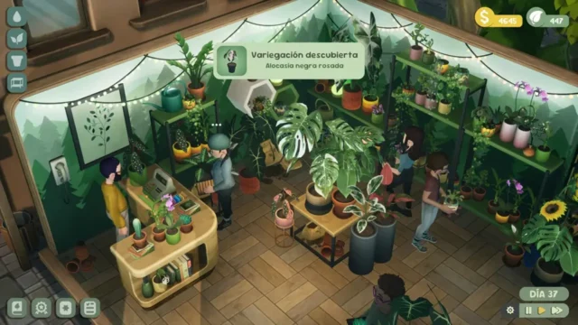 Leafy Corner (2)