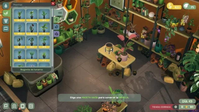 Leafy Corner (4)